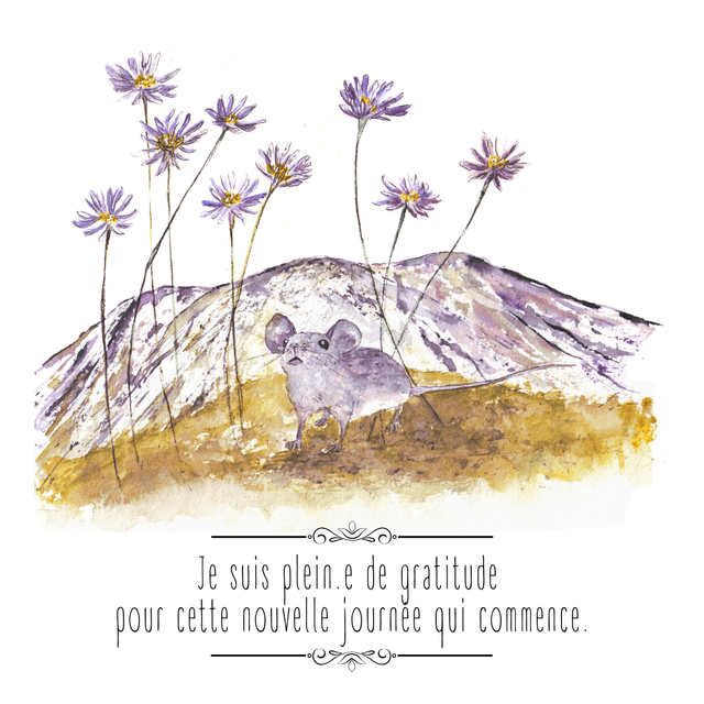 Jardin intérieur "Affirmations positives"