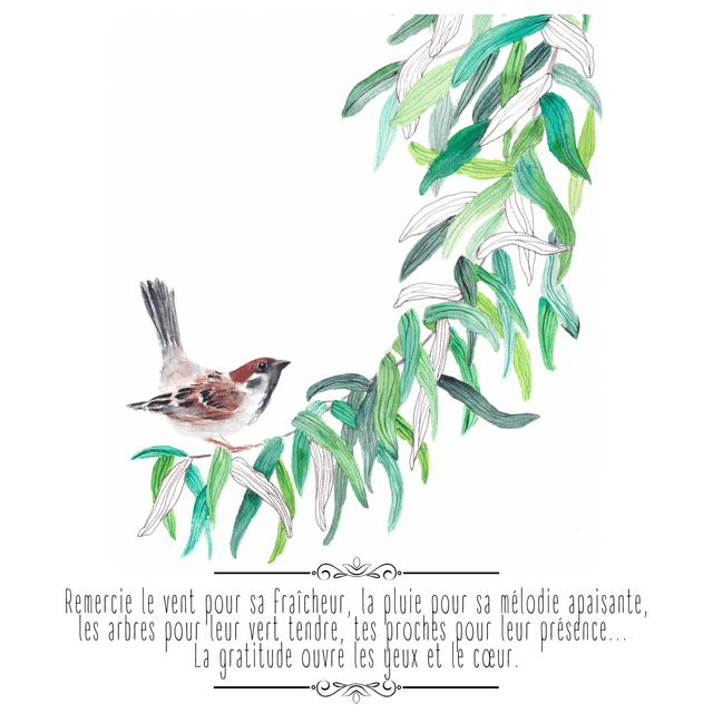 Jardin intérieur "Semer des graines de joie" 