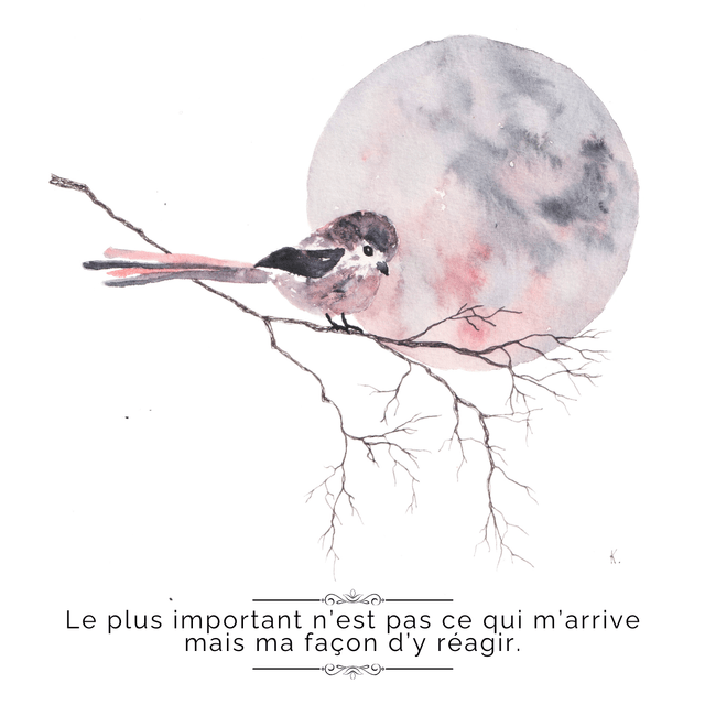 Jardin intérieur "Apaiser son mental" 