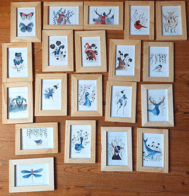 Cadre - Mésange bleue