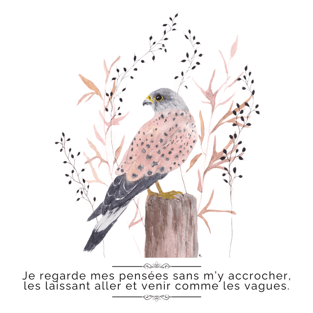 Jardin intérieur "Apaiser son mental" 