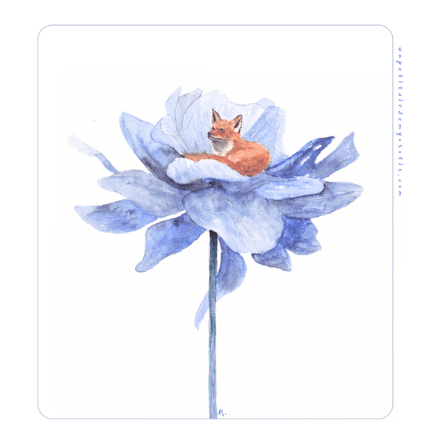 renard blotti