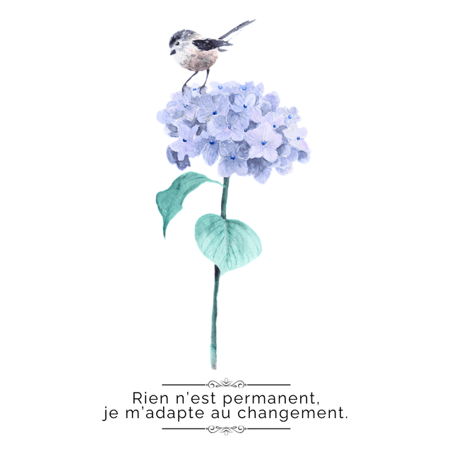 Jardin intérieur "Apaiser son mental" 