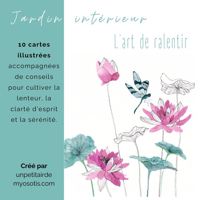 Jardin intérieur "L'art de ralentir"