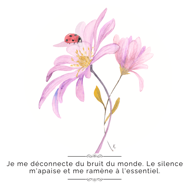Jardin intérieur "L'art de ralentir"