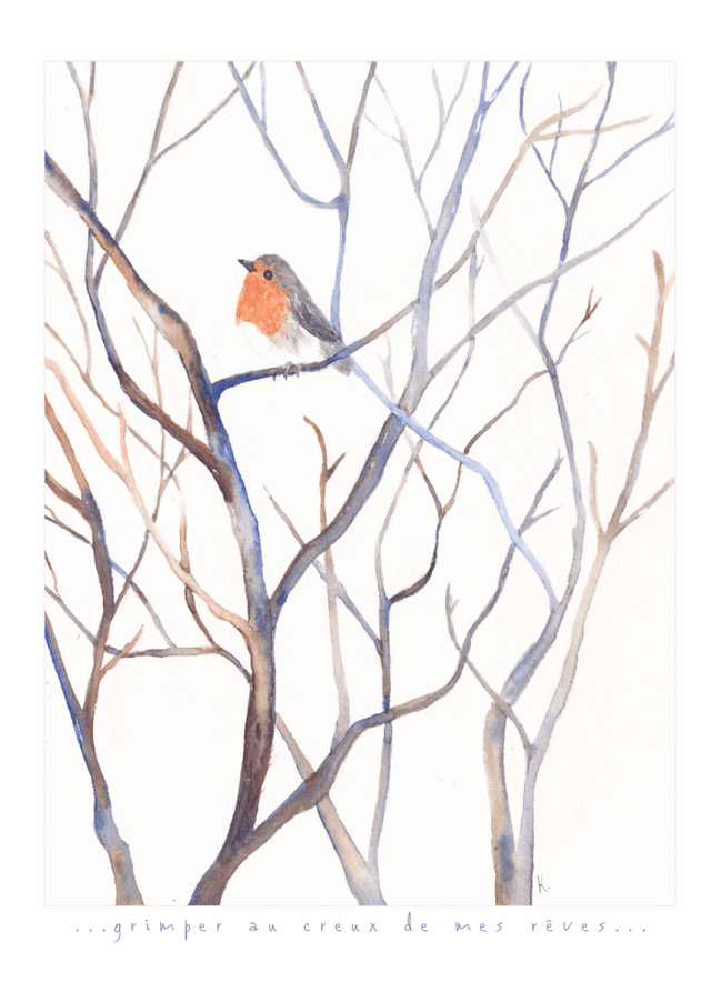 Carte-poème rouge gorge dans les branches "grimper au creux de mes rêves"