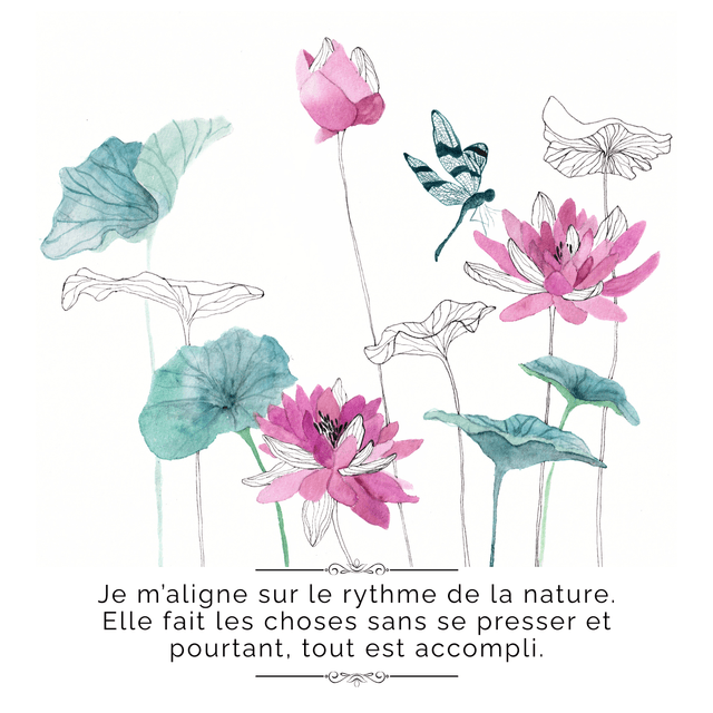 Jardin intérieur "L'art de ralentir"