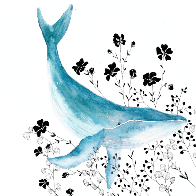 Cadre - Baleine
