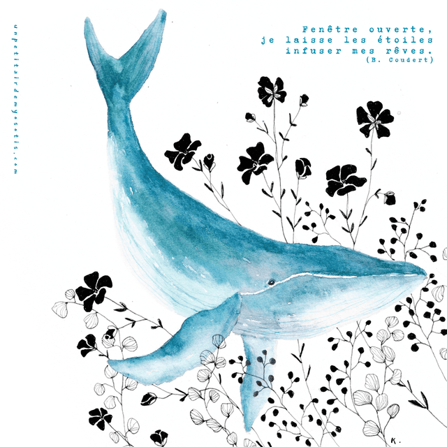 Carte postale &quot;je laisse les étoiles infuser mes rêves&quot; - Baleine et fleurs noires