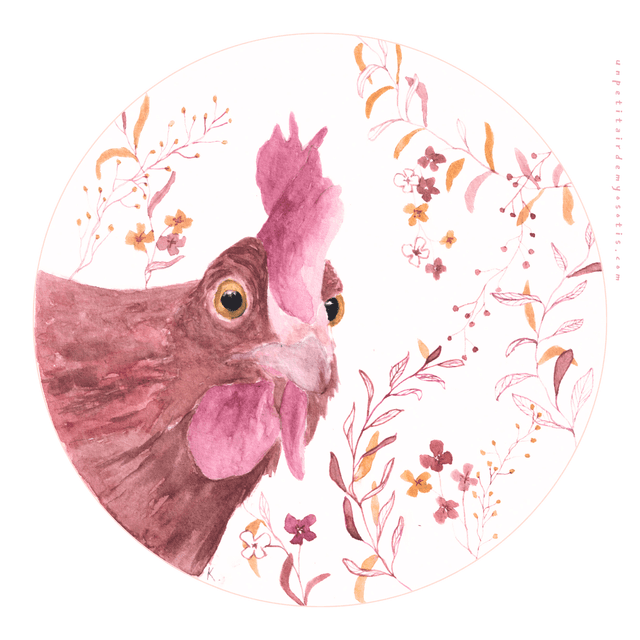 Carte postale Poule