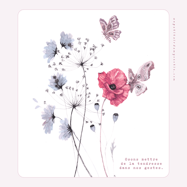 Carte-poème coquelicot et papillons de nuit &quot;osons mettre de la tendresse dans nos gestes&quot;