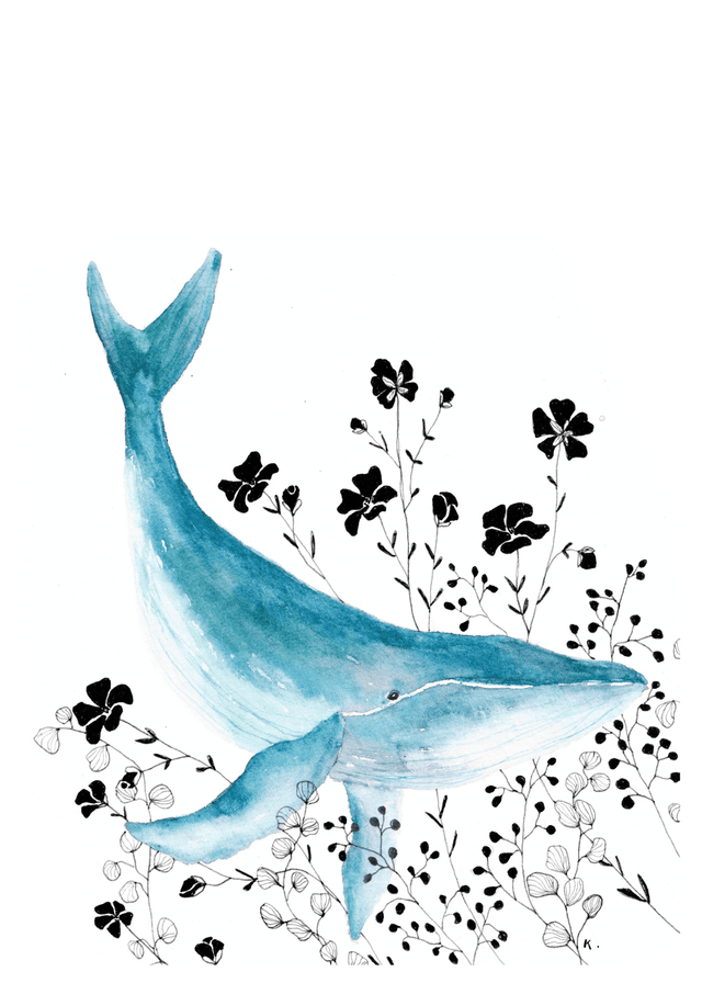 Carnet A5 pages blanches - baleine