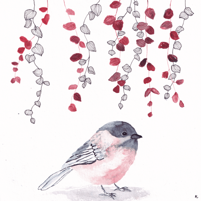 mésange nonnette