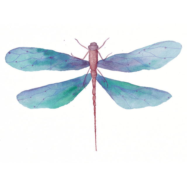 Libellule