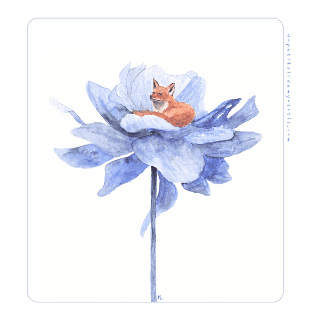 Cadre - Renard blotti dans une pivoine