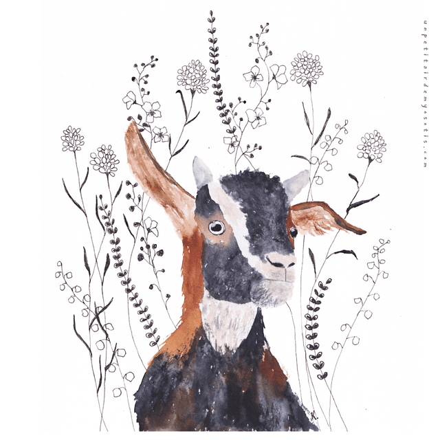 Carte postale Chevreau