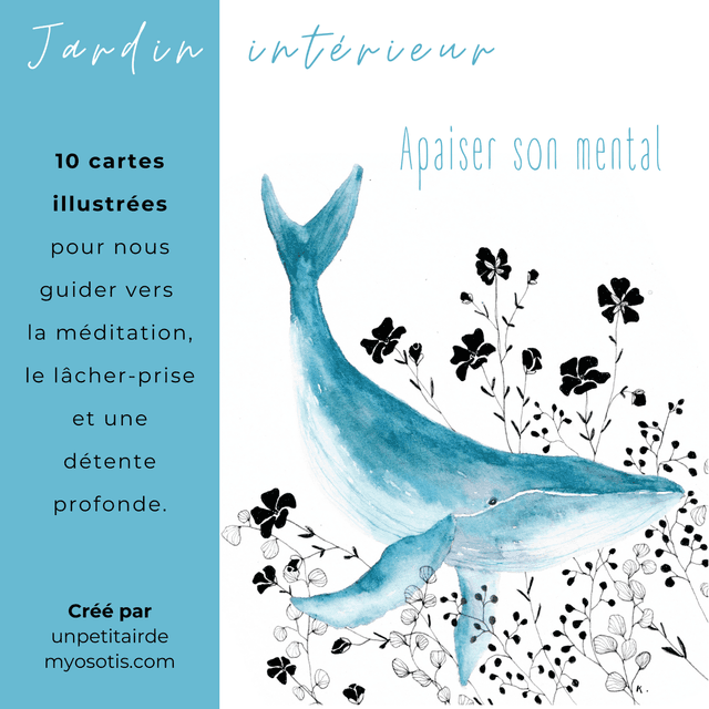 Jardin intérieur &quot;Apaiser son mental&quot; 