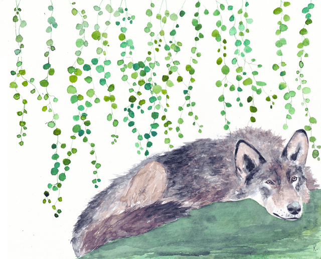 Cadre - Loup