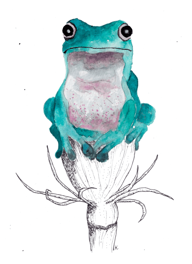 grenouille
